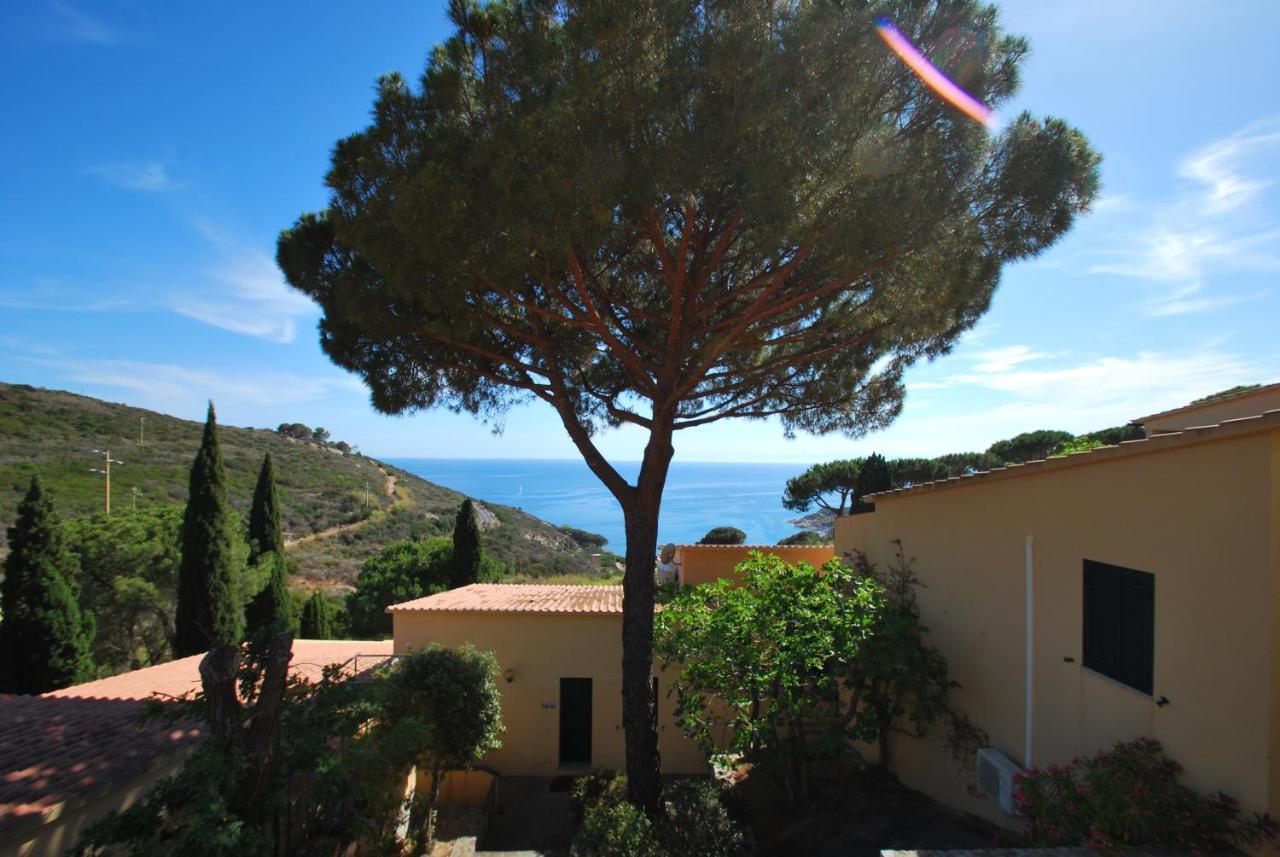 Grotta Azzurra Apartment - Cavoli - Terrazza Vista Mare, Clima E Parcheggio San Piero in Campo  Εξωτερικό φωτογραφία